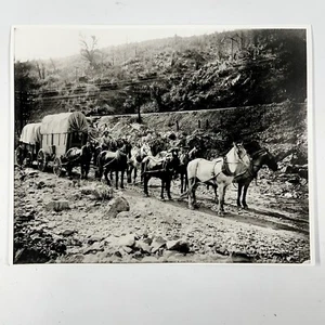 Oregon Freight Horse Team Covered Wagon Powerline Rocky Mountains Photo Reprint - Picture 1 of 1