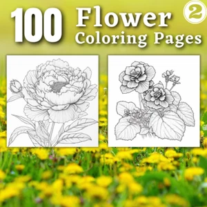 100 Blumen Malbilder (Ep. 2) zum ausdrucken & POD Erlaubnis - Bild 1 von 4