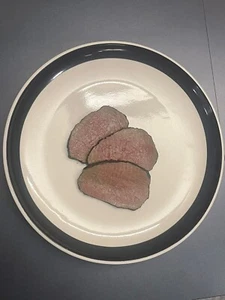 Nasco Roast Beef Slices Nutritional Food Prop Replica - Picture 1 of 3