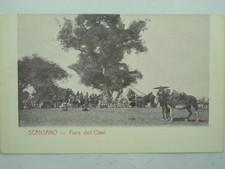 GROSSETO PROVINCIA-SCANSANO-FIERA-O3M-S02294