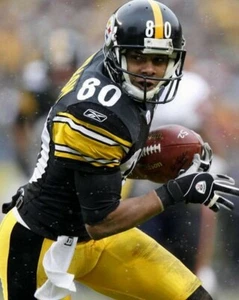 CEDRICK WILSON 8X10 PHOTO PITTSBURGH STEELERS PICTURE NFL FOOTBALL - Picture 1 of 1