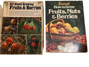 Wie man Früchte und Beeren anbaut. Bücher - Bild 1 von 8