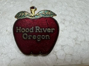 Hood River Oregon Red Apple Pin - Bild 1 von 6
