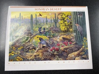FDC 3293 Sonoran Desert Souvenir Sheet First Day Of Issue 1999 With Envelope - Image 1 of 2