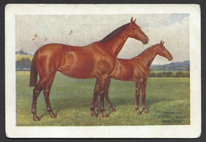 SPIELER - BRITISH LIVE STOCK (BLAU) - #13 THE HUNTER - Bild 1 von 2