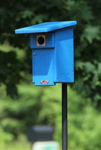 Caldera Morena Reciclada Resistencia Bluebird Nestbox Pajardhouse - Imagen 1 de 7