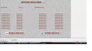 SOFTWARE GESTIONALE GESTIONE APICOLTURA SU PENDRIVE - Photo 1/1