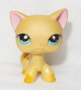 LITTLEST PET SHOP LPS #339 HASBRO CAT EUROPÄISCHE KATZE BEIGE ORANGE BLAUE AUGEN GRÜN - Bild 1 von 5