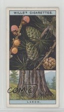 1924 Wills Flowering Trees & Shrubs Tobacco Larch #28 1g9