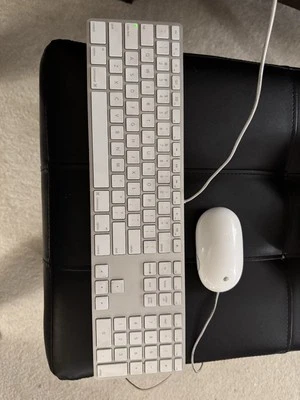 Apple White Aluminum USB Wired Keyboard Mighty Mouse A1152 A1243 Used 4UCUA - Image 1 of 4