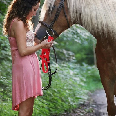  Bequemes gepolstertes Pferde -Halfter und Seil für das Einstellbare und - Bild 1 von 4