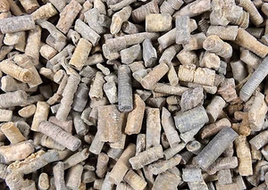 DIG-N-UTAH: CRINOID STEMS MOROCCO 1/2 LB LOT BULK FOSSIL - Picture 1 of 11