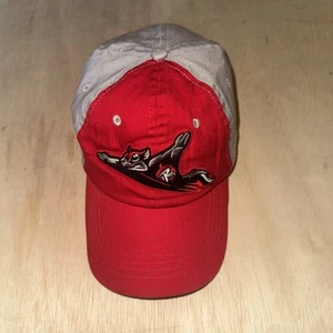 HCA Ad Richmond Flying Squirrels Baseball Cap Hat - Picture 1 of 3