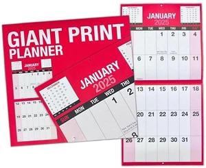 2025 Giant View Wall Calendar Easy View Planner 1 Month To View Wall Hanging UK - Picture 1 of 7