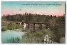 1924 West Branch Muskegon River Houghton Lake Michigan Mi Hand-Colored Postcard