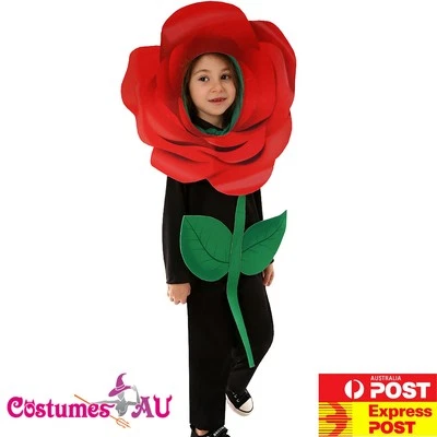 Disfraz Rosa Roja Niños Niñas Niños Niño Fiesta Libro Semana Flor Escenario Drama Foto 1 de 4