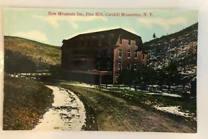 New Mountain Inn, Pine Hill, Catskill Mountains, N.Y. Vintage Real Pict.Postcard - Picture 1 of 5
