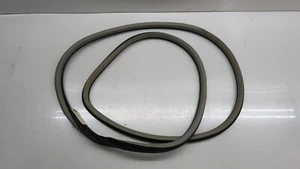 Cadillac CTS 2014-2019 FABRICANTE DE EQUIPOS ORIGINALES puerta trasera izquierda en carrocería tira meteorológica sello gris - Imagen 1 de 8