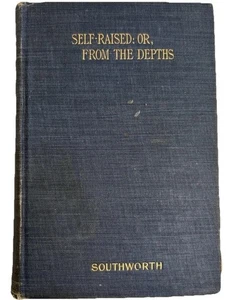 1882 Self Raised From the Depths Emma D.E.N. Southworth Antique Novel HC Lupton - Picture 1 of 9