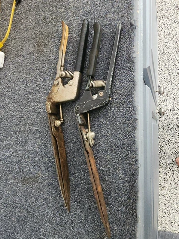 Vintage Pair  Hand Grass Clippers, Shears, Great Shape, Garden Tool 13" Long Cover