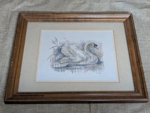 Mute Swan By Mads Stage Vintage Framed Print Artwork Wall Decor 16"x13" - Bild 1 von 6