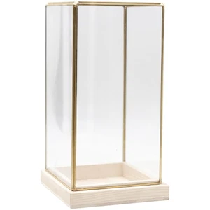 Transparent Glass Display Case for Dolls and Decorative Items - Picture 1 of 12