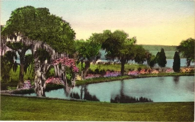 Middleton Place Gardens Charleston SC Hand Colored Postcard 1940s - Image 1 of 2