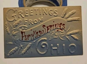 Super seltene Postkarte 1909 PURITAS SPRINGS VERGNÜGUNGSPARK Cleveland Ohio geprägt - Bild 1 von 14