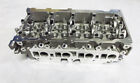 NEW ENGINE CYLINDER HEAD BARE For NISSAN NAVARA D40 PICK UP 2.5DCi (01/2010 ON) NISSAN Pick-Up