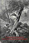 Dog Cocker Spaniel Treed a Pheasant Hunting, Large 1901 Antique Print