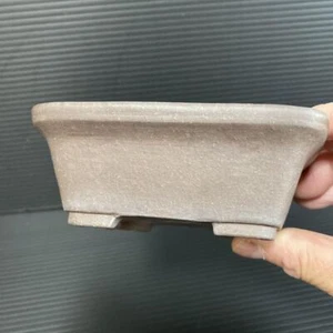 Japanese Bonsai pot TOKONAME IKKO-DO Rectangular shape W11.9cm H4.9cm Unglazed - Picture 1 of 24