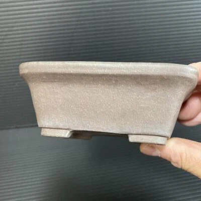 Japanese Bonsai pot TOKONAME IKKO-DO Rectangular shape W11.9cm H4.9cm Unglazed - Image 1 of 4