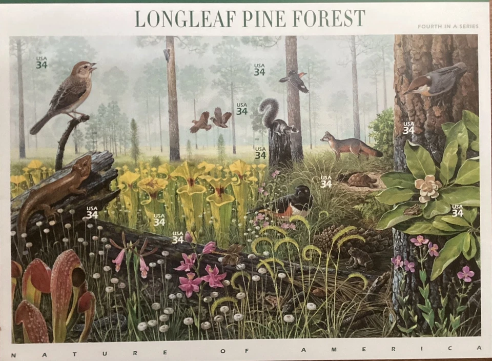 Full Sheet of 34 Cent 2002 Longleaf Pine Forest - Image 1 of 1