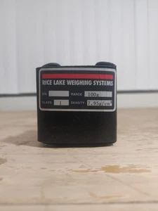 Rice Lake Weighing Systems 100g Class 1 - Picture 1 of 3