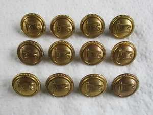 12x British:"CURRIE LINE GILDED BRASS BUTTONS" (Small, 16mm, 1920s-1940s Period) - Picture 1 of 4