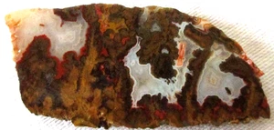 TeePee Canyon Agate Slab - 52 Grams - South Dakota - Picture 1 of 2