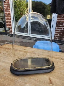 Antique Glass Dome with Wood Base No.2 - Picture 1 of 6