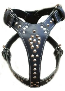 Beautiful Studded Black Leather Dog Harness fits Large Dog Size like Staffy... - Picture 1 of 1