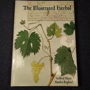 The Illustrated Herbal by Sandra Raphael and Wilfrid Blunt (Hardcover) - Picture 1 of 12
