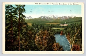 Bitter Root River View Montana Como Peaks Background White Border c1941 Postcard - Picture 1 of 4