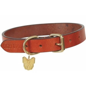 Digby & Fox flaches Leder-Hundehalsband - Bild 1 von 1