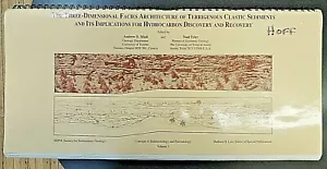 Three-Dimensional Facies Terrigenous Clastic Sediments Hydrocarbon Discovery - Foto 1 di 4