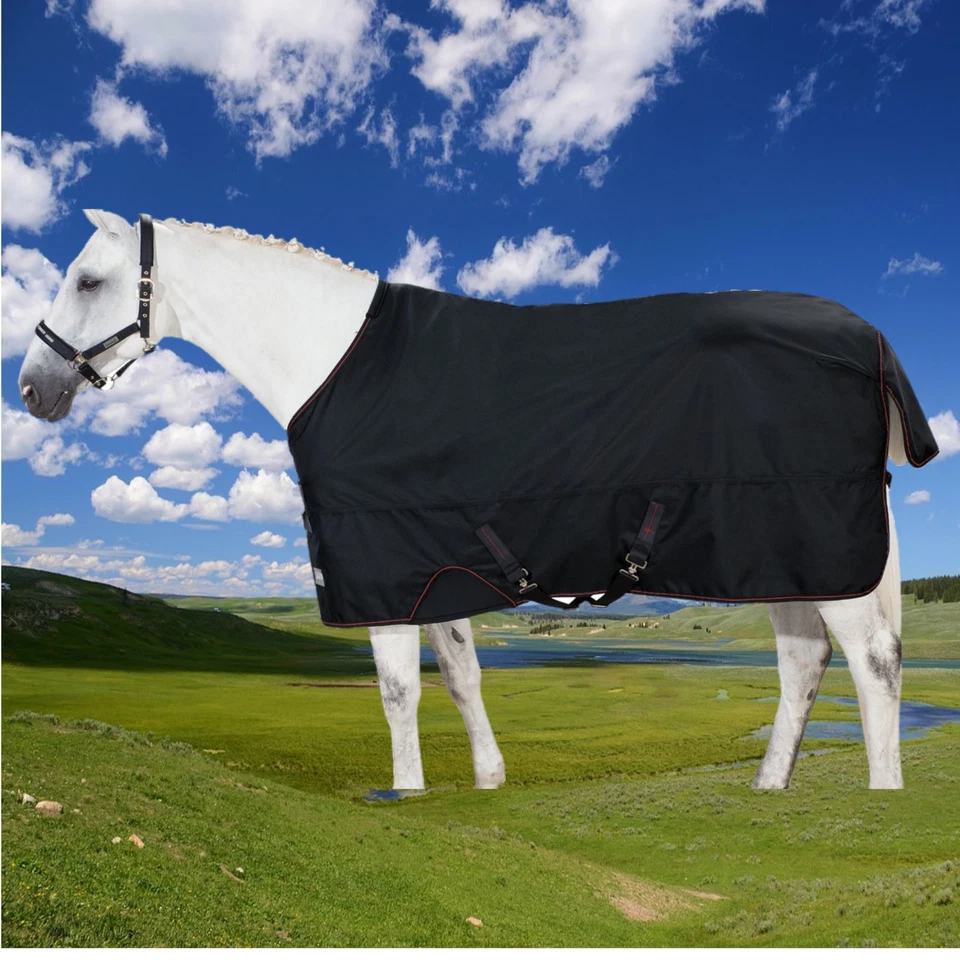 Eskadron Gamma Turnout, Mesh Lining, Eskadron Regendecke Gamma, Netzfutter - Bild 1 von 1