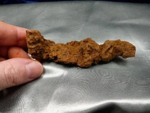(PP474-6) 3-5/8" Originale TARTARUGA FOSSILE CACCA Coprolite O Stato LETAME - STRANO REGALO - Foto 1 di 1