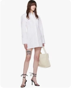 Alexander Wang Ryan Oyster Grey Large shoulder Hand bag limited edition perfect - Picture 1 of 11