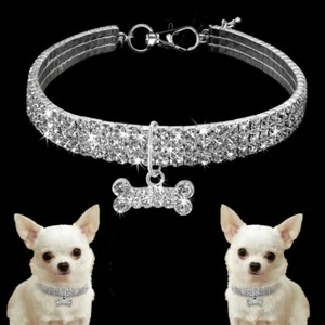 Strasshalsband Strass Kette für kleine Hunde, Katzen, Welpe Tierschmuck M - L 86 - Bild 1 von 6