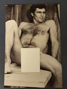 4x6in. Reprint Photo - Handsome Cuddly Hairy Nude Man Sitting On Wood Bench - Picture 1 of 5