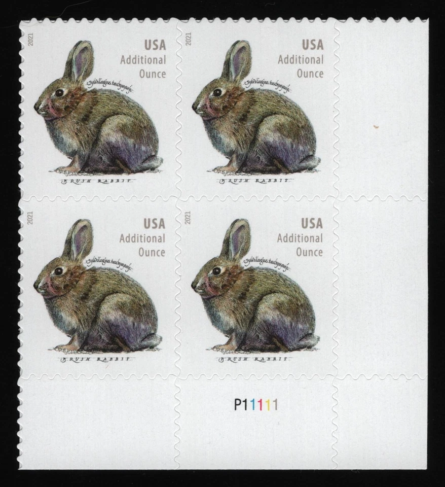 #5544 Brush Rabbit, Plate Block [P11111 LR] Mint **ANY 5=FREE SHIPPING** - Image 1 of 1