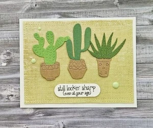 Happy Birthday Handmade Card: Cactus Plants Still Looking Sharp Funny Sentiment - Picture 1 of 1