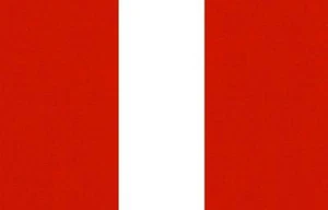 (B1)GLANZROT Effekt Motorhaubenstreifen Twin 4m x15cm (13'x6") passend für MINI - Bild 1 von 1